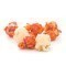 Cornucopia Longhorn Mix Popcorn